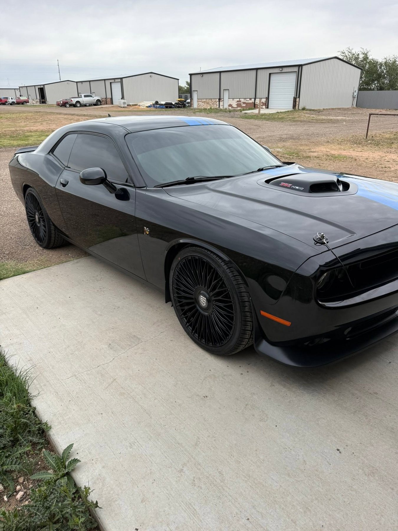 Tinted Dodge Challenger